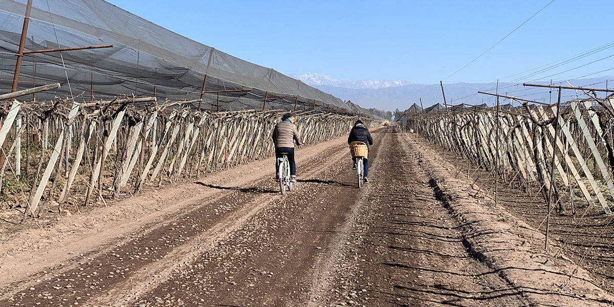 Mendoza, Ischigualasto & Talampaya