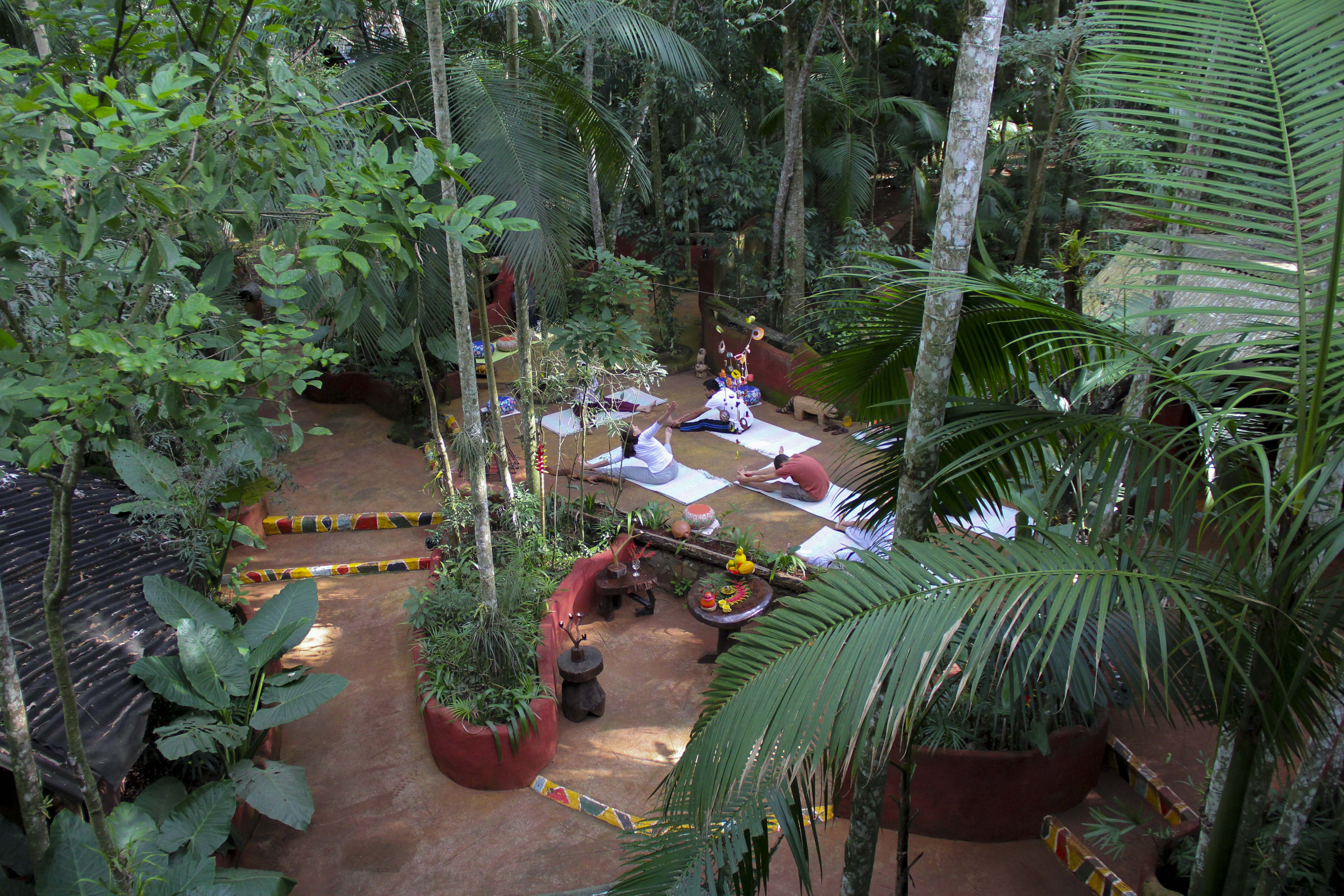 yacutinga, nature and self-discovery