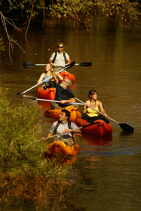 Kayaking at Yacutinga Nature Reserve