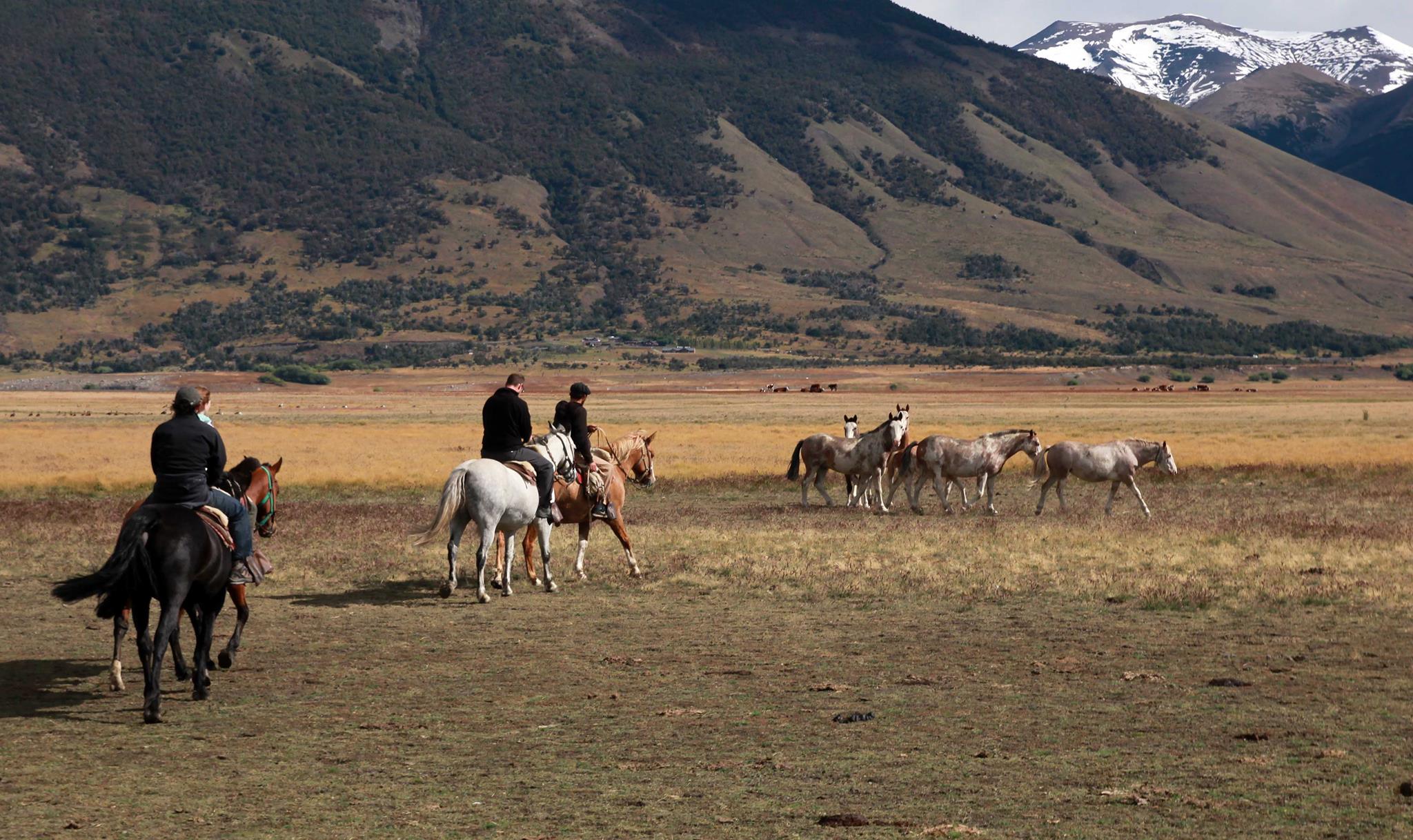 Riding the steppe
