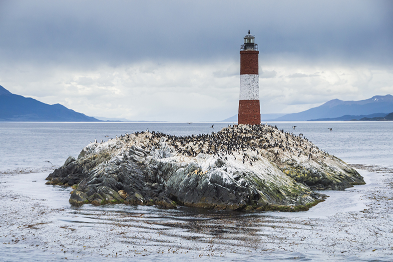 Les Eclaireurs Lighthouse and cormorant colony on an island in the Beagle Channel, Ushuaia, Tierra Del Fuego, Argentina