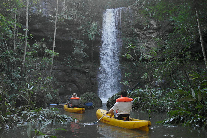 rainforest-experience-chacra-del-agua