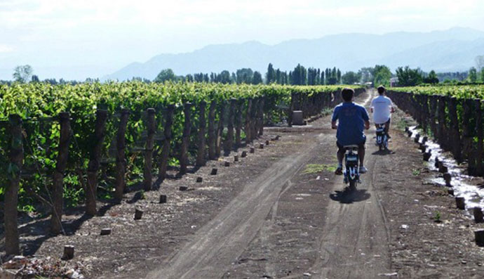 wine-trekking-and-high-mountains-5