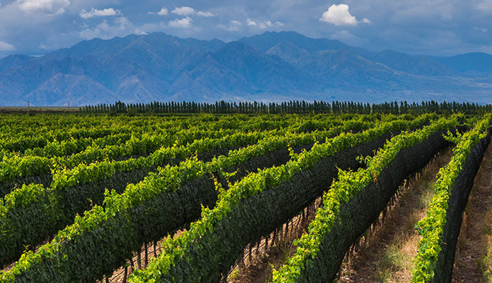 wine-trekking-and-high-mountains-3