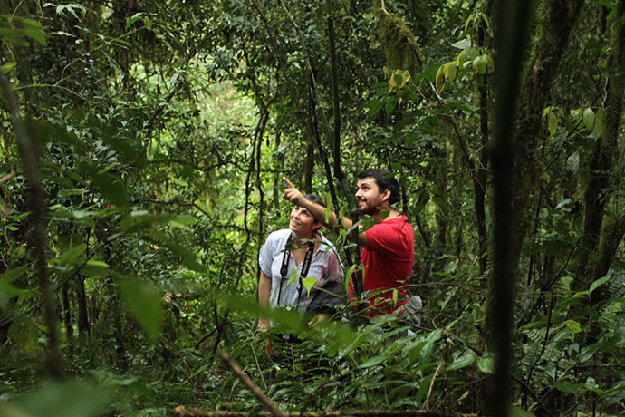 deep-into-the-misiones-jungle-6