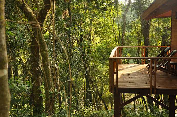 deep-into-the-misiones-jungle-7