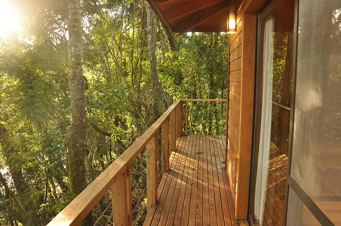 deep-into-the-misiones-jungle-9