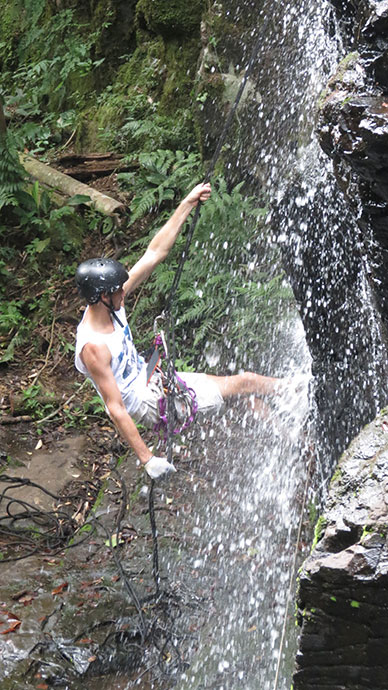 deep-into-the-misiones-jungle