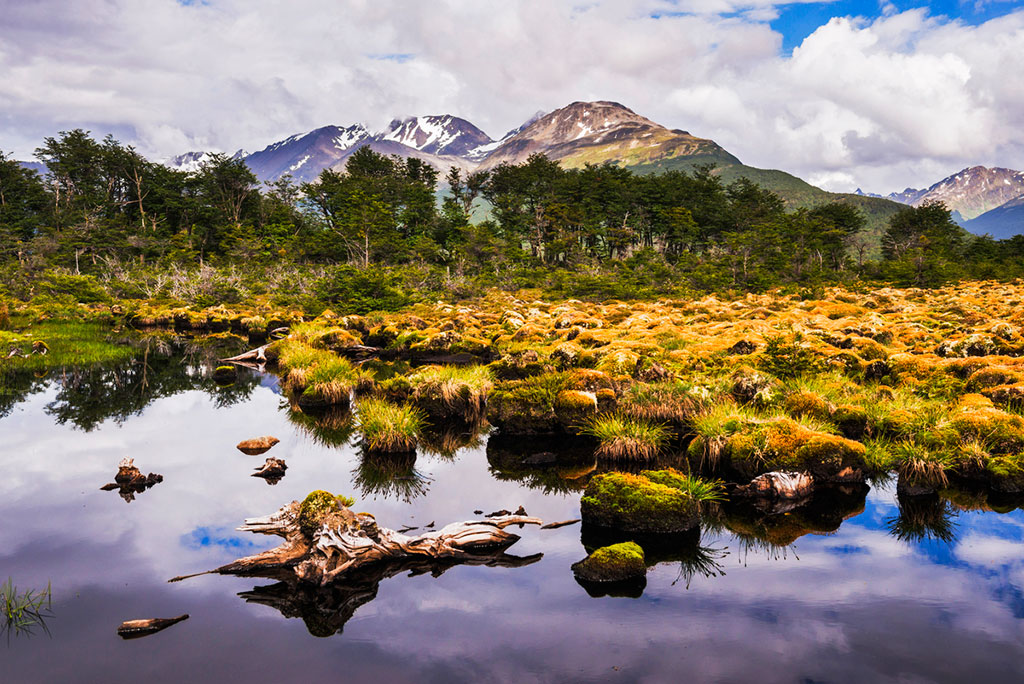 Arakur-Nature-Reserve