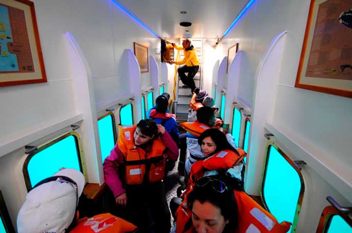 new-experience-whale-watching-3