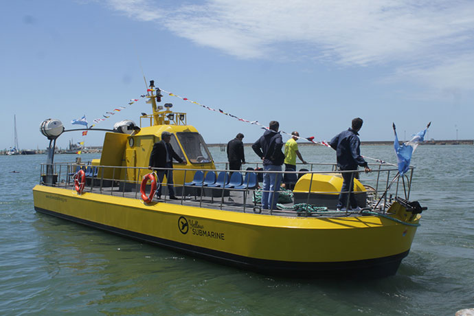 new-experience-whale-watching-5