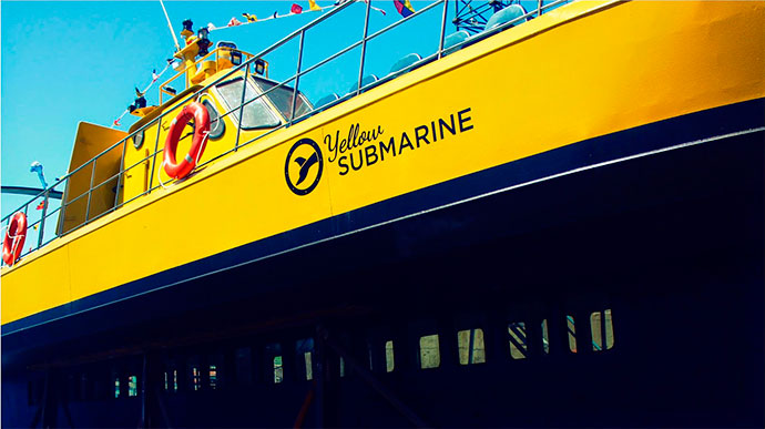 new-experience-whale-watching-4