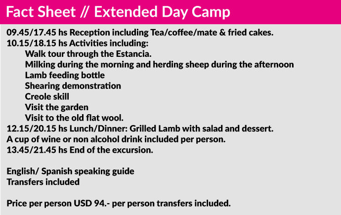Fact-Sheet-Day-Camp