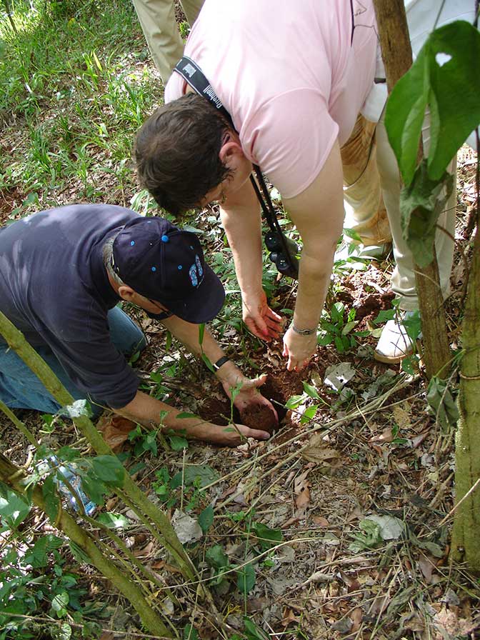 Environmental educational workshops at Yacutinga Lodge