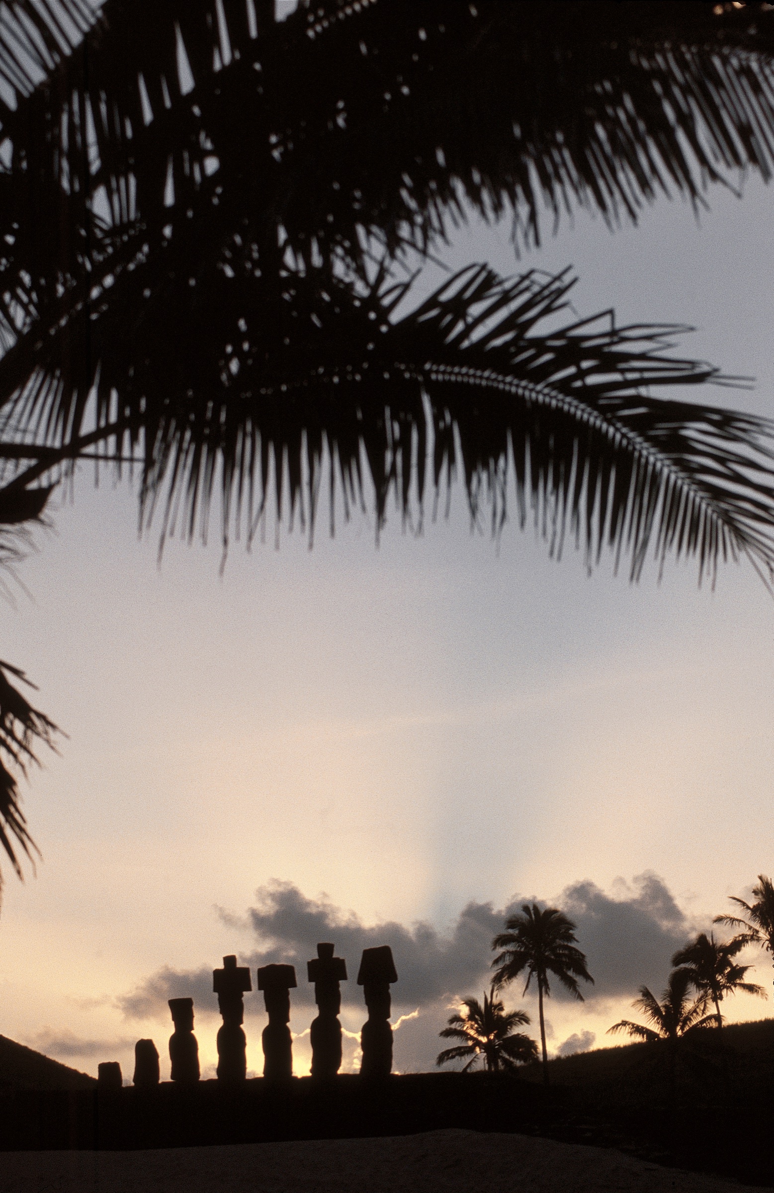 Topknotted moai of Ahu Nau Nau silhouetted at dusk behind the palms of Anakena