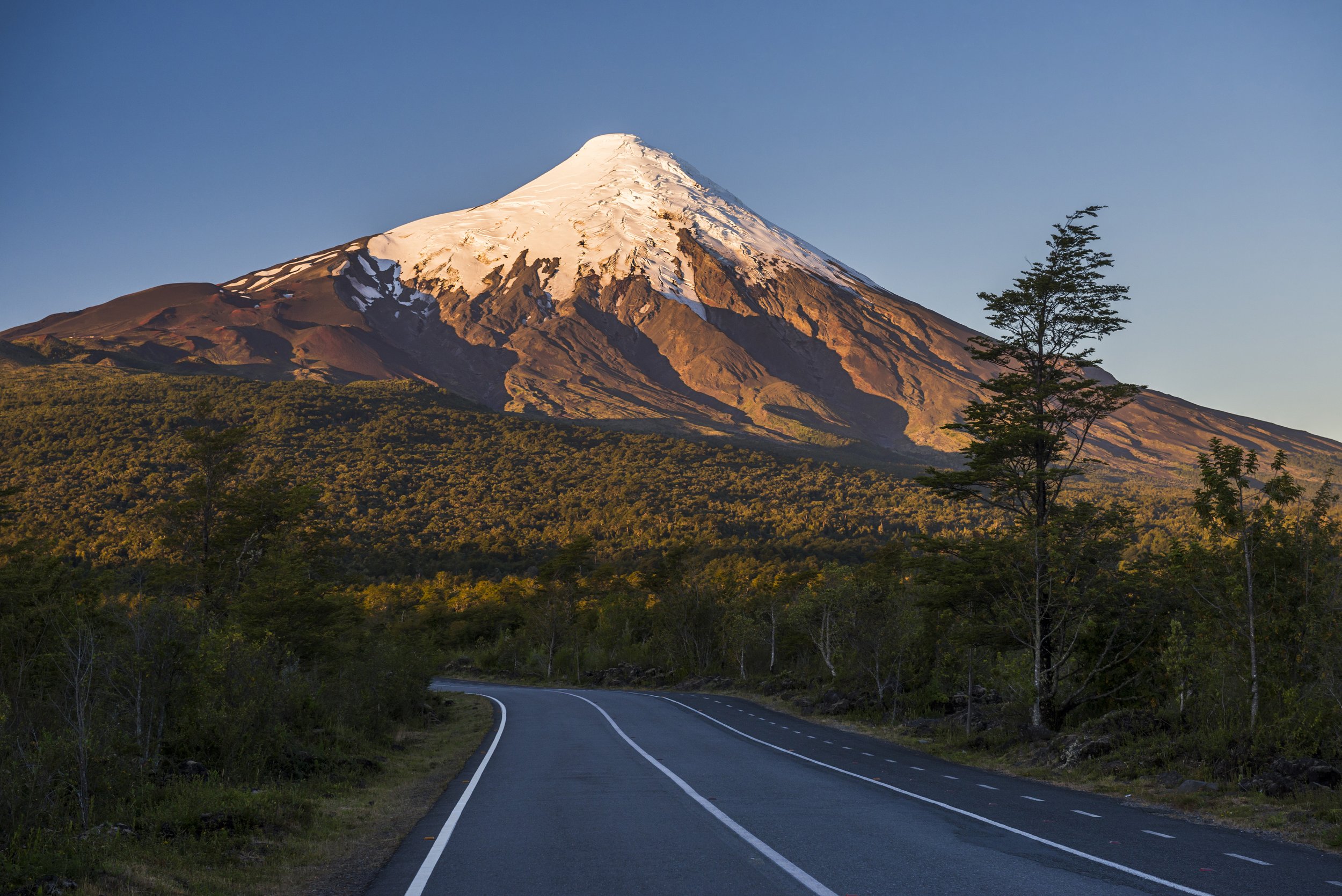 Ruta asfaltada rodeada de vegetación con vista panorámica al nevado Volcán Osorno bajo luz dorada.