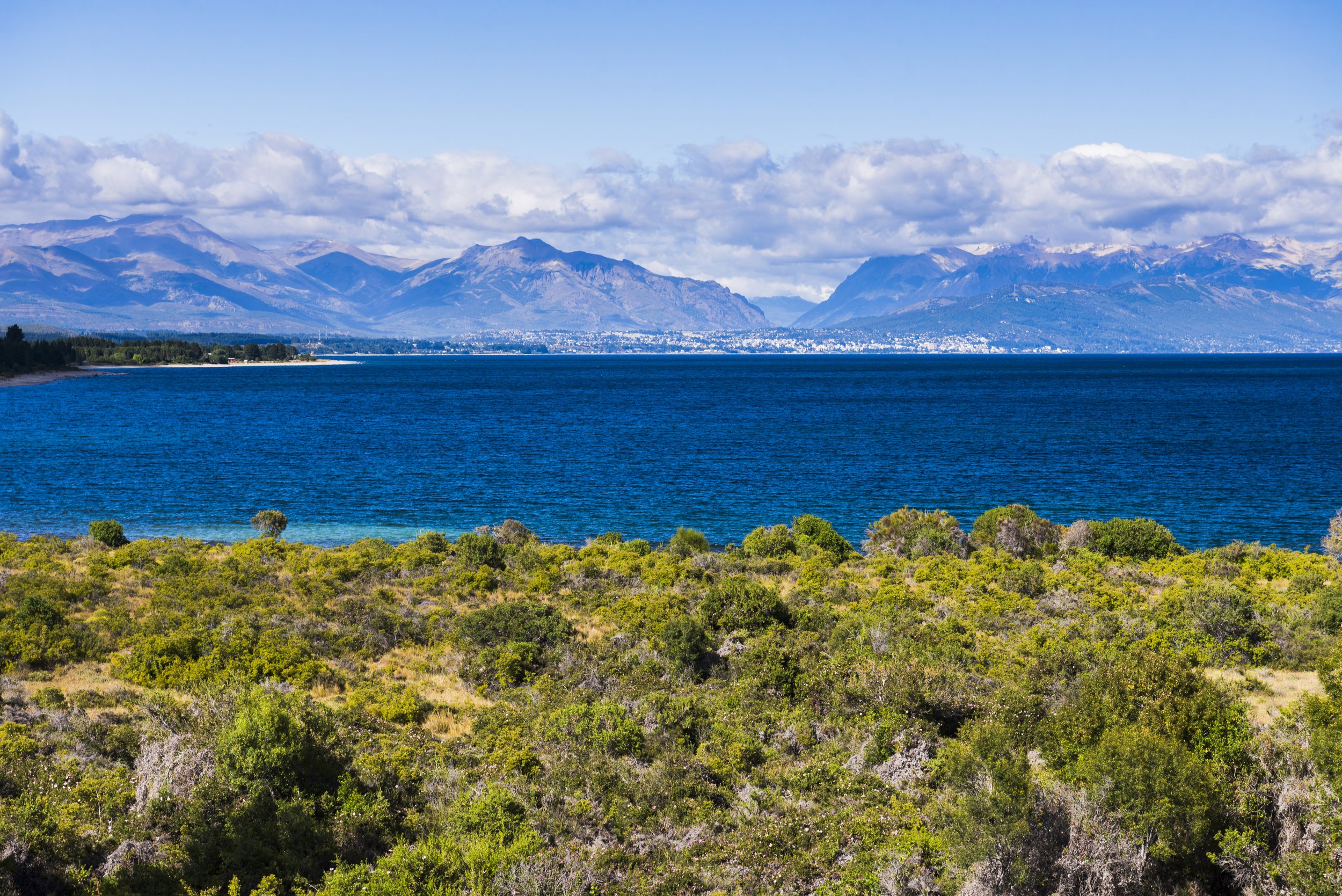 Vista panorámica del lago Nahuel Huapi con vegetación en primer plano y montañas al fondo bajo cielo azul.