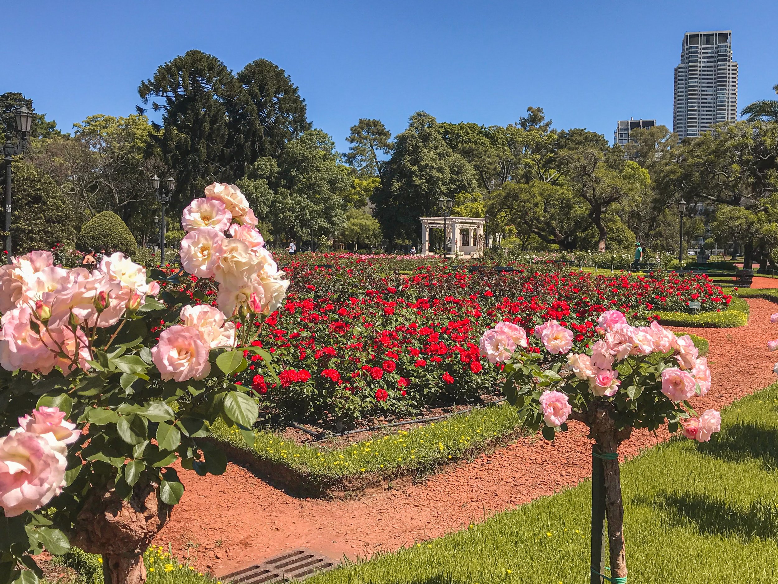 Recoleta