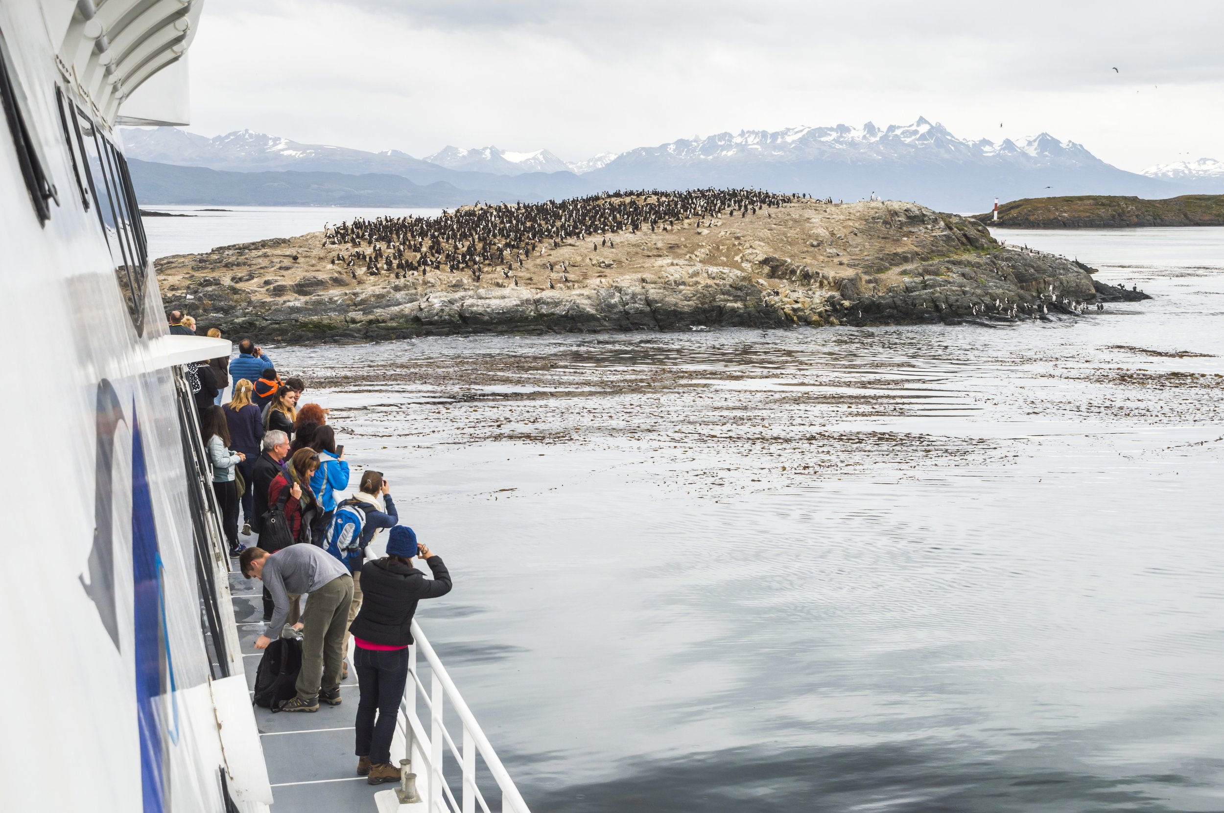 Turistas a bordo de una embarcación en el Canal Beagle observando aves en un islote rocoso.