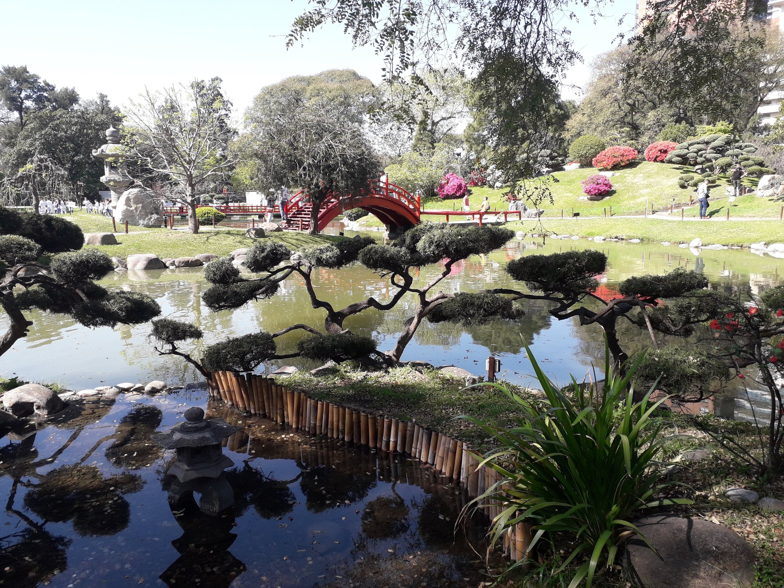 Estanque y puente rojo tradicional en el Jardín Japonés con árboles podados y vegetación circundante.