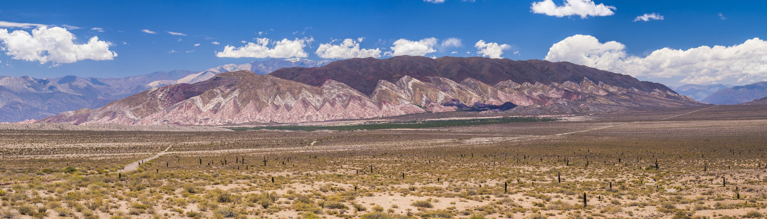 Panorámica del Parque Nacional Los Cardones con cerros de estratos coloridos y cardones dispersos en la llanura.