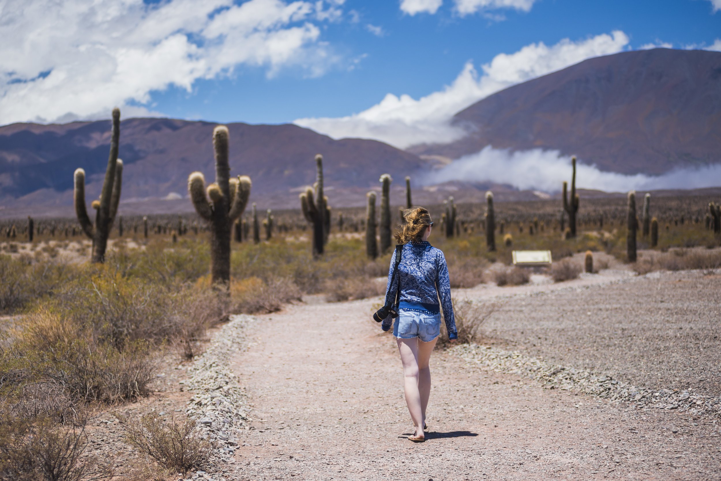 Mujer de espaldas caminando por un sendero de tierra rodeado de cardones y montañas en el parque.