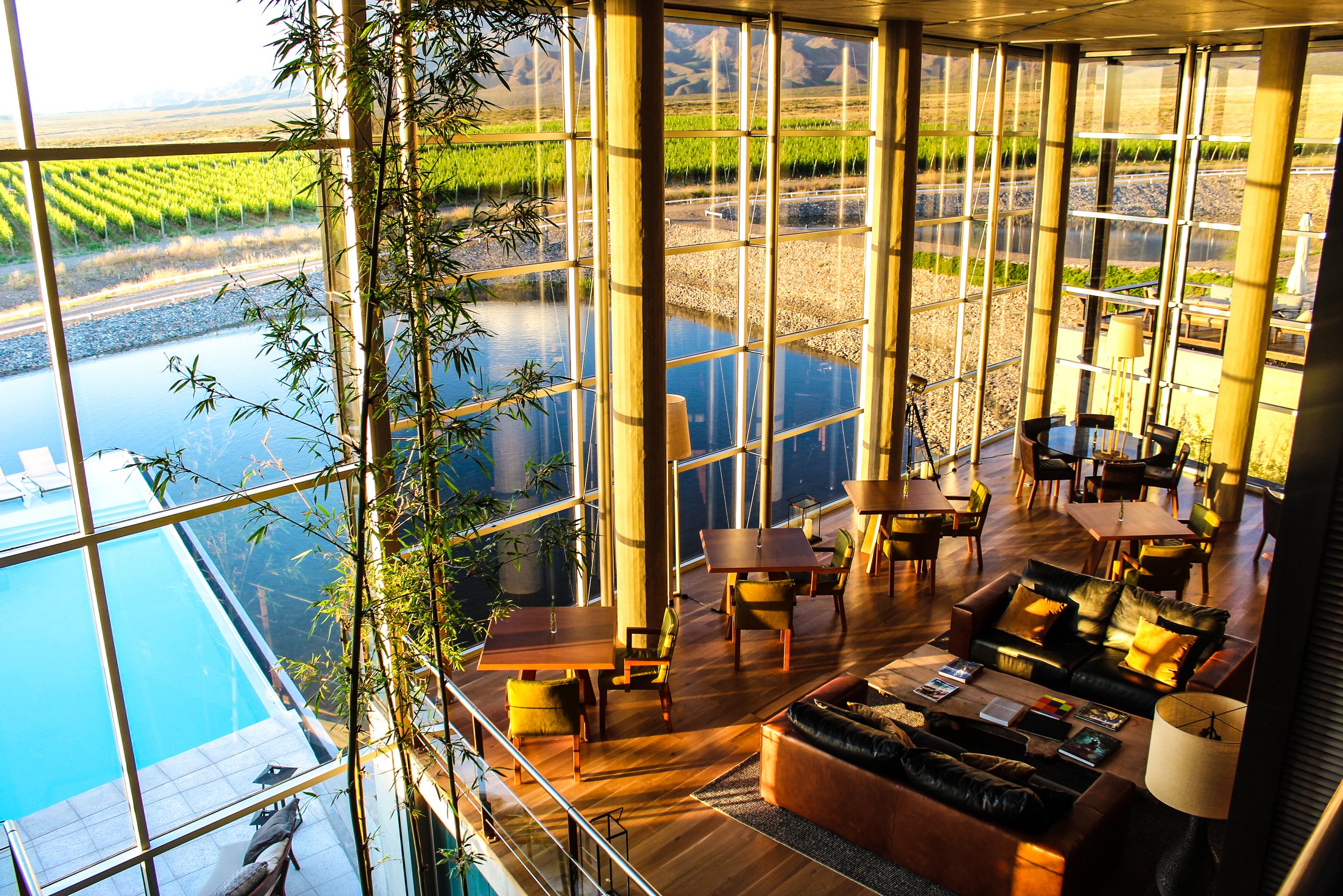 Salón vidriado de hotel con vista a viñedos, laguna y piscina iluminado por el sol bajo.
