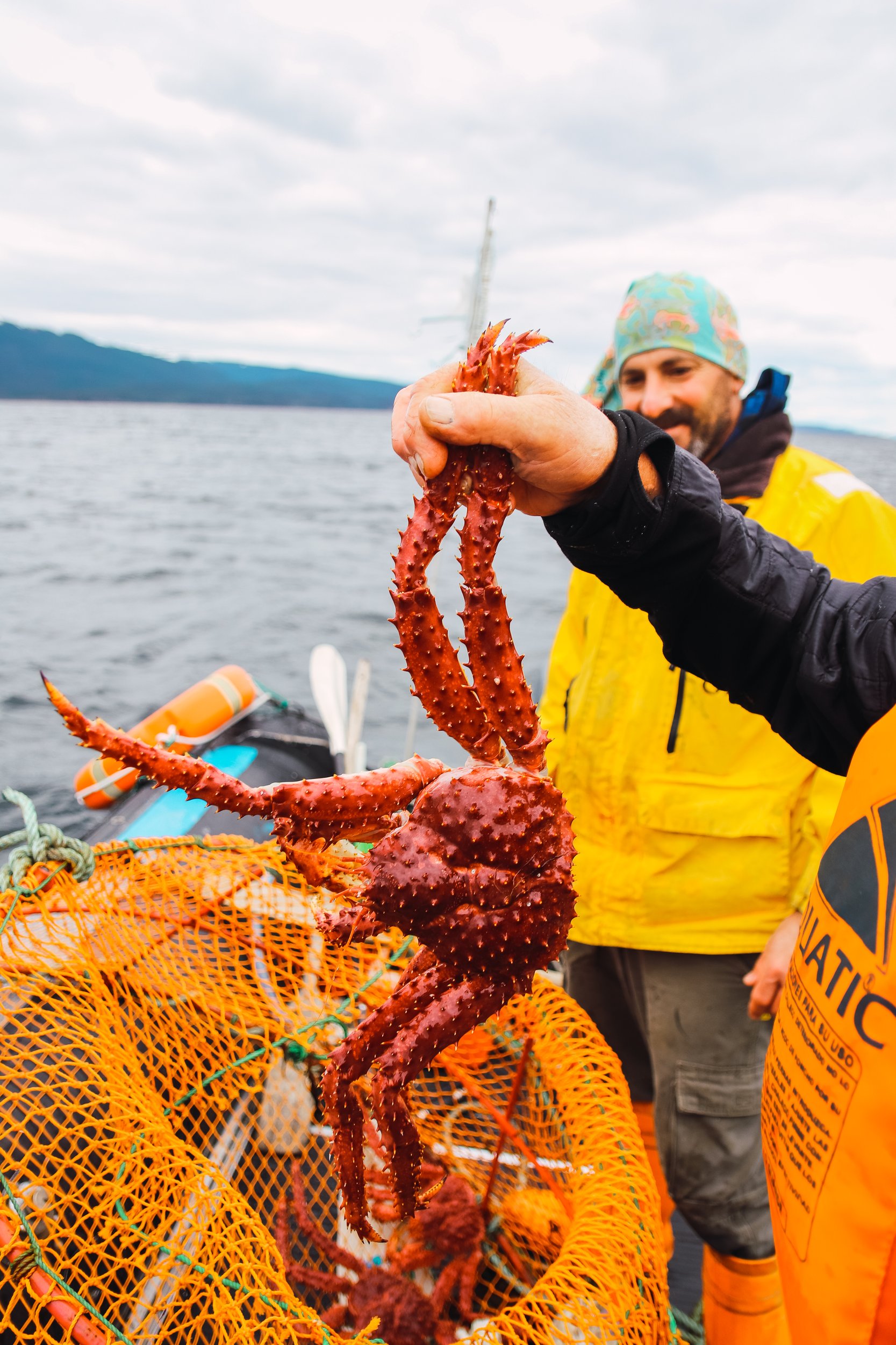Pesca artesanal de centolla a bordo de una embarcación en las aguas del Canal Beagle.
