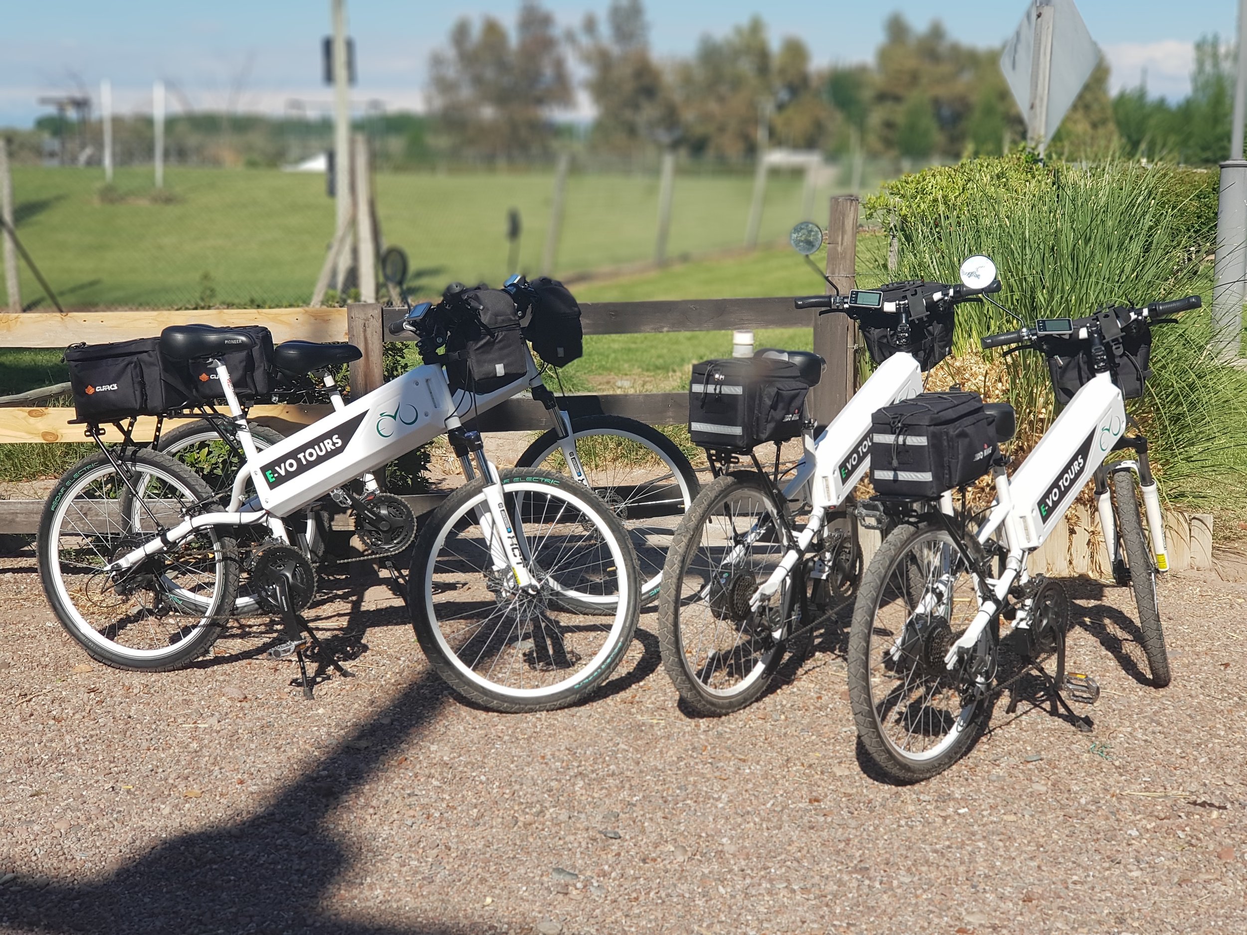 Bicicletas eléctricas de paseo estacionadas al aire libre frente a una cerca de madera y viñedos.