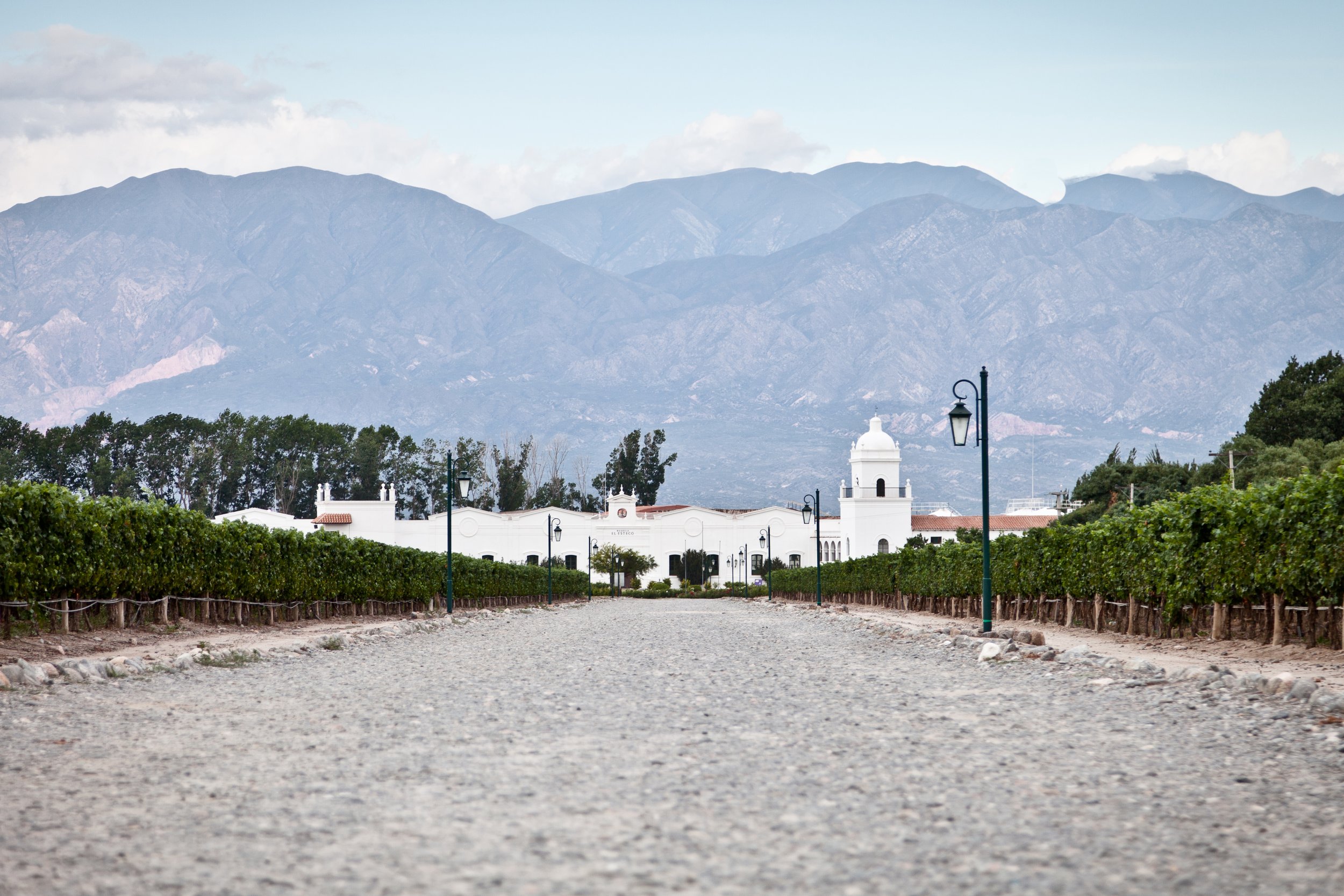 Camino de ripio entre viñedos que conduce a un edificio colonial blanco con montañas al fondo.