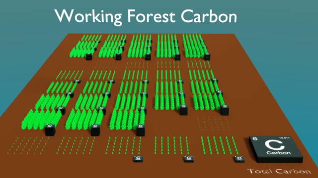 Forest Rotation after Conversersion animation thumbnail