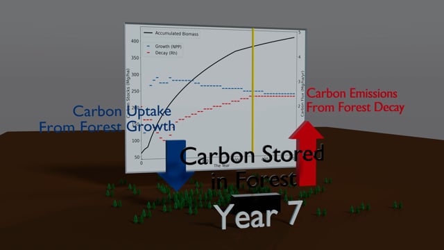 Andrew Gray NPP animation thumbnail