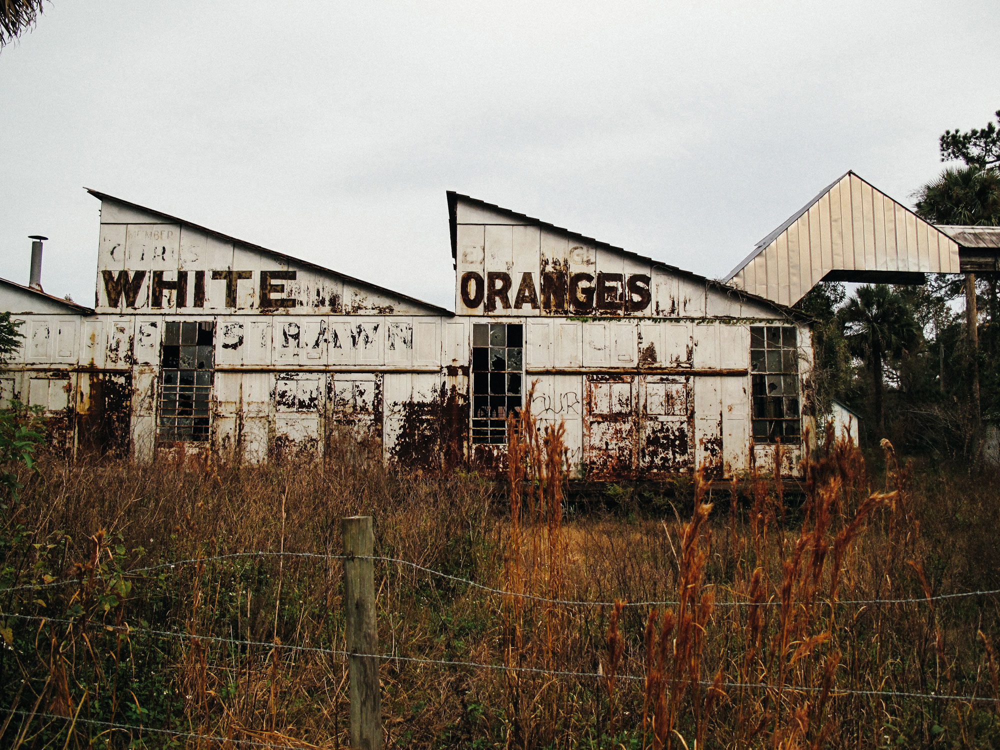 Rusty white metal building in overgrown field with barbed wire fence, with faded large text reading 'WHITE ORANGES'.
