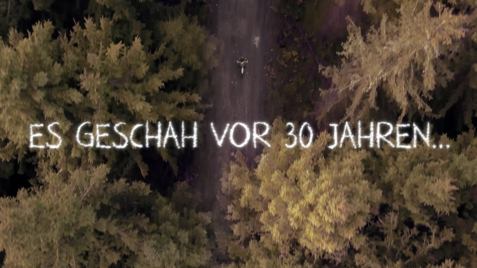 Wald von oben mit dem Schriftzug „Es geschah vor 30 Jahren“ – Kinospot Kreidemann
