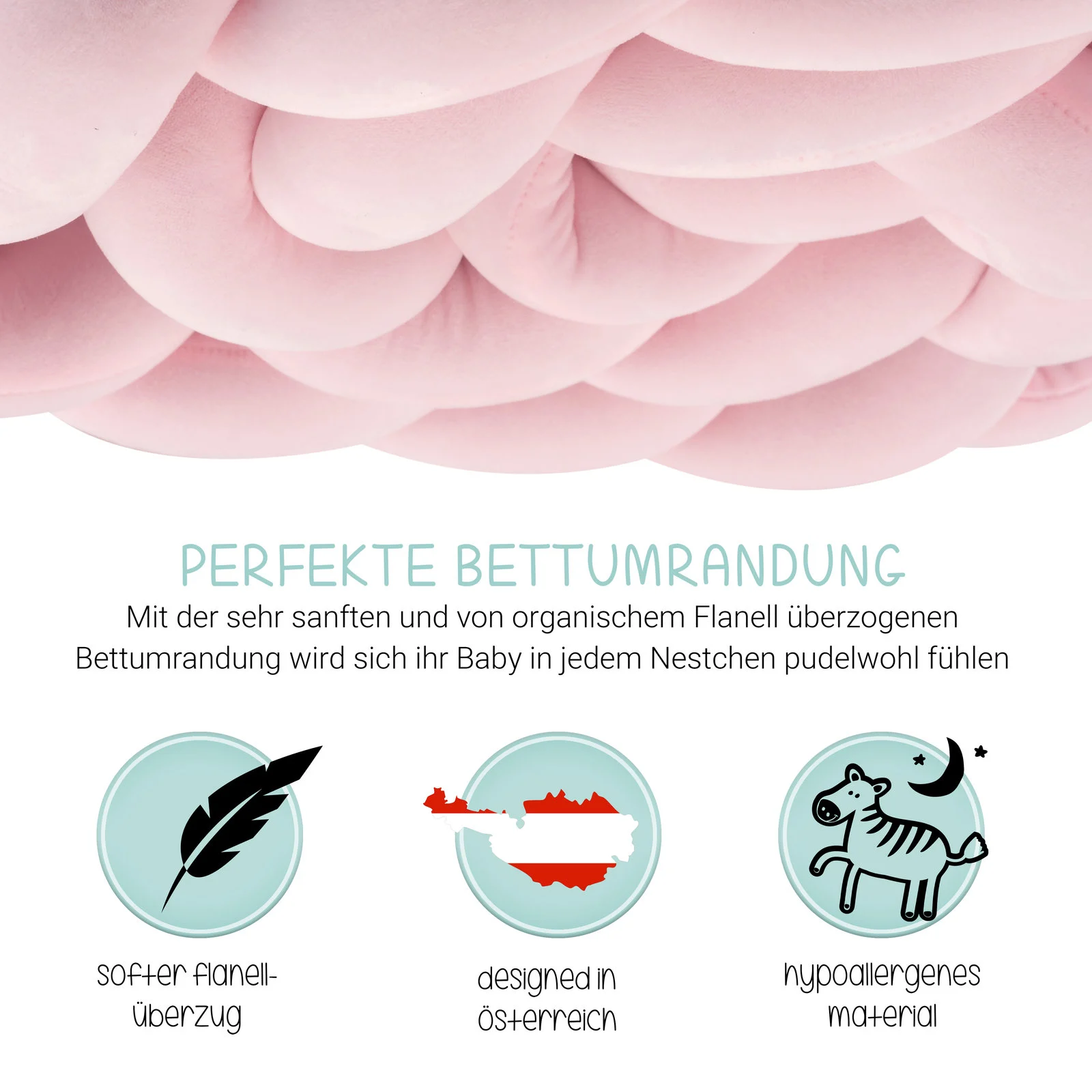 Amazon-Listing & A+ Content von Profi-Bilder