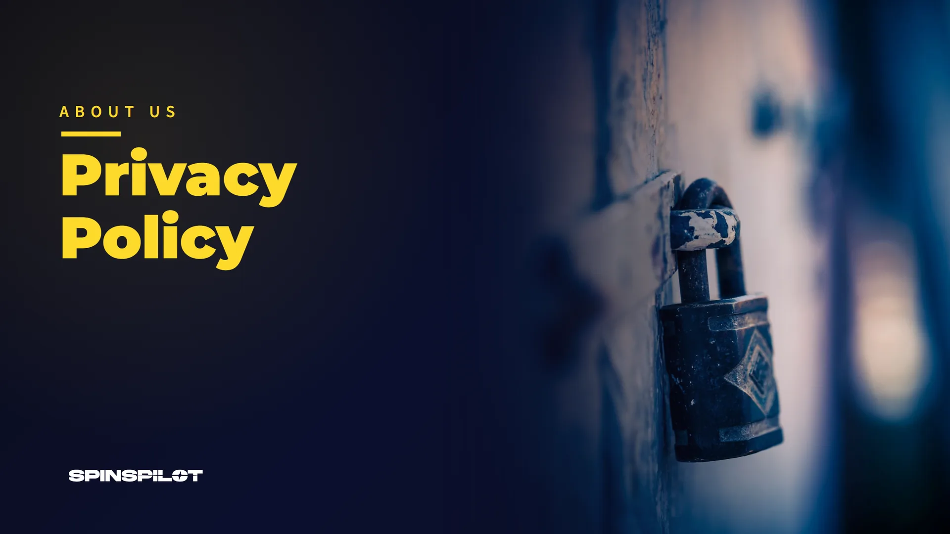 Privacy Policy - SpinsPilot