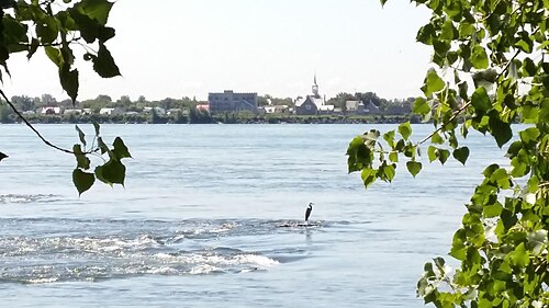 Kahnawake seen across the St. Lawrence River from Montreal