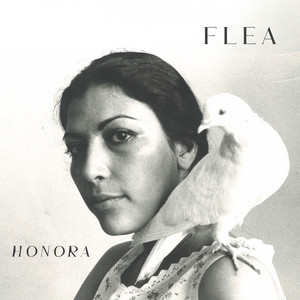 Albumcover