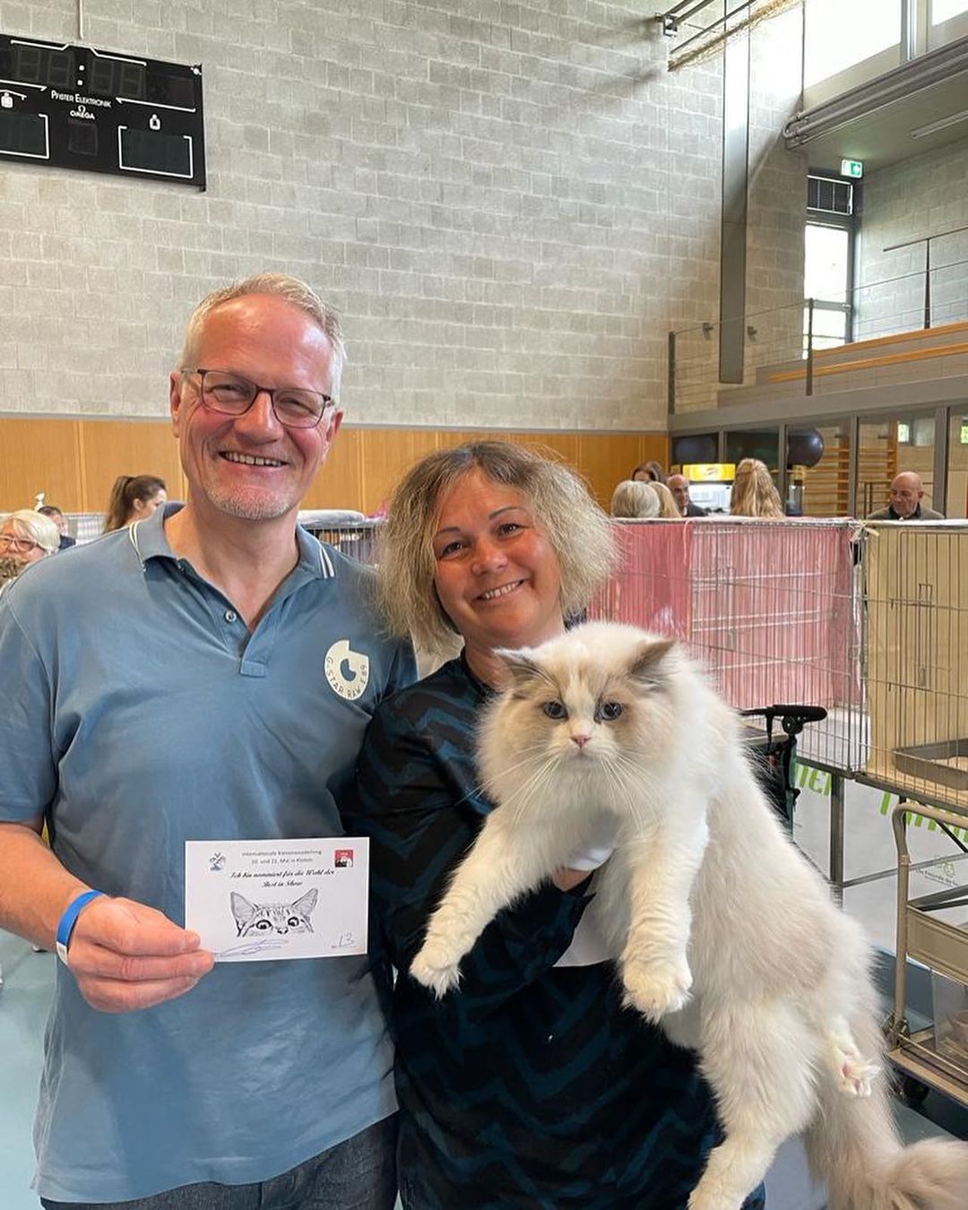 Ragdoll kittens breeder