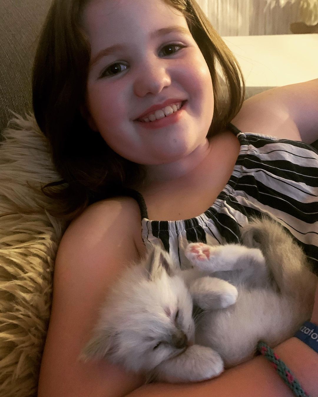 Ragdoll cats near me