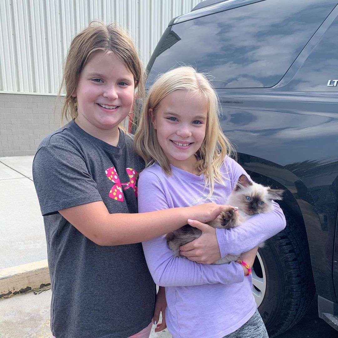 Ragdoll cats near me