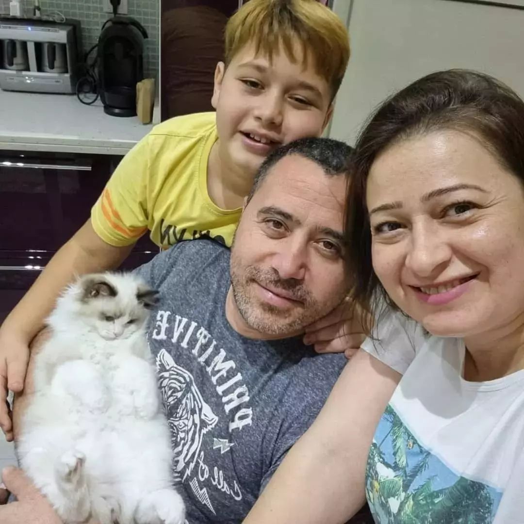 Ragdoll cats near me