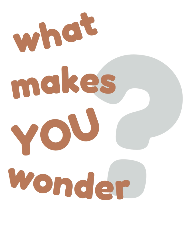 Playful, child-friendly typography reading “What makes you wonder?”
