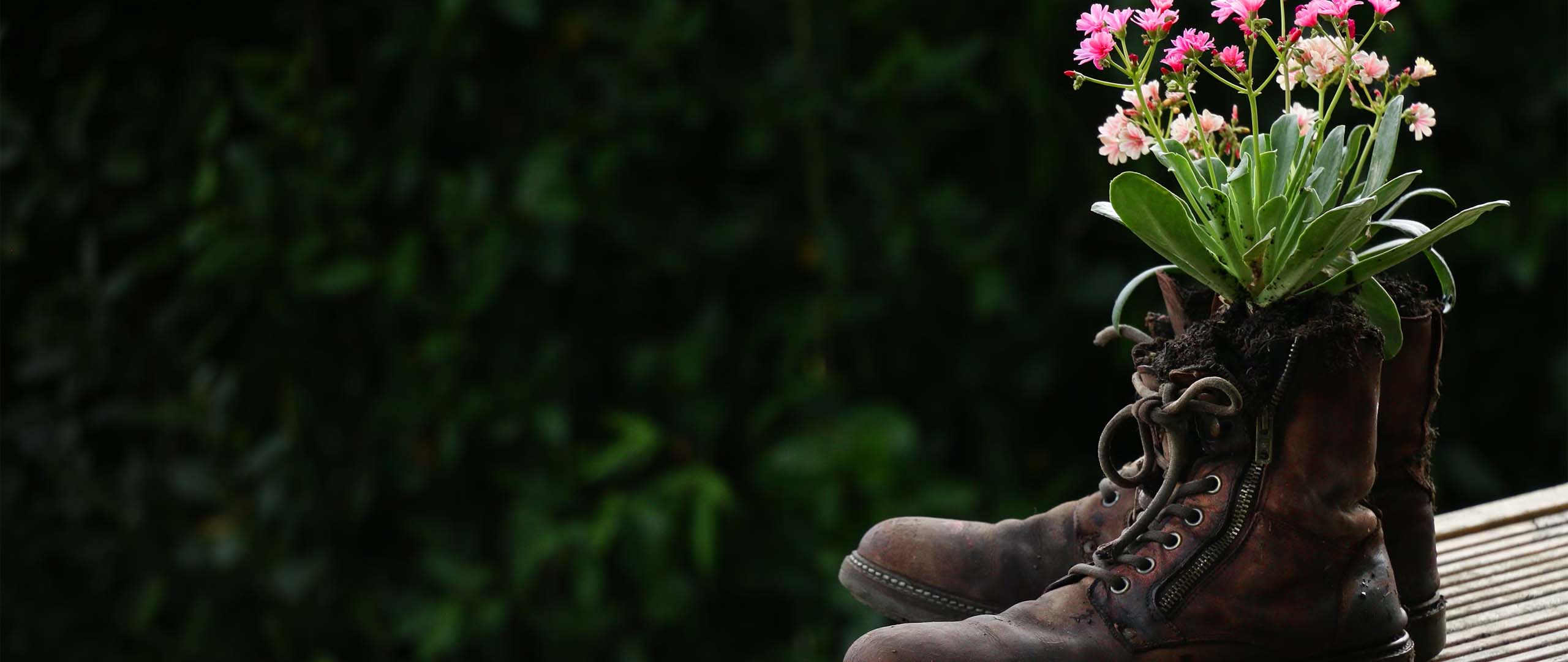 Can I Retire at 55? A Guide to Your Early Retirement Blueprint