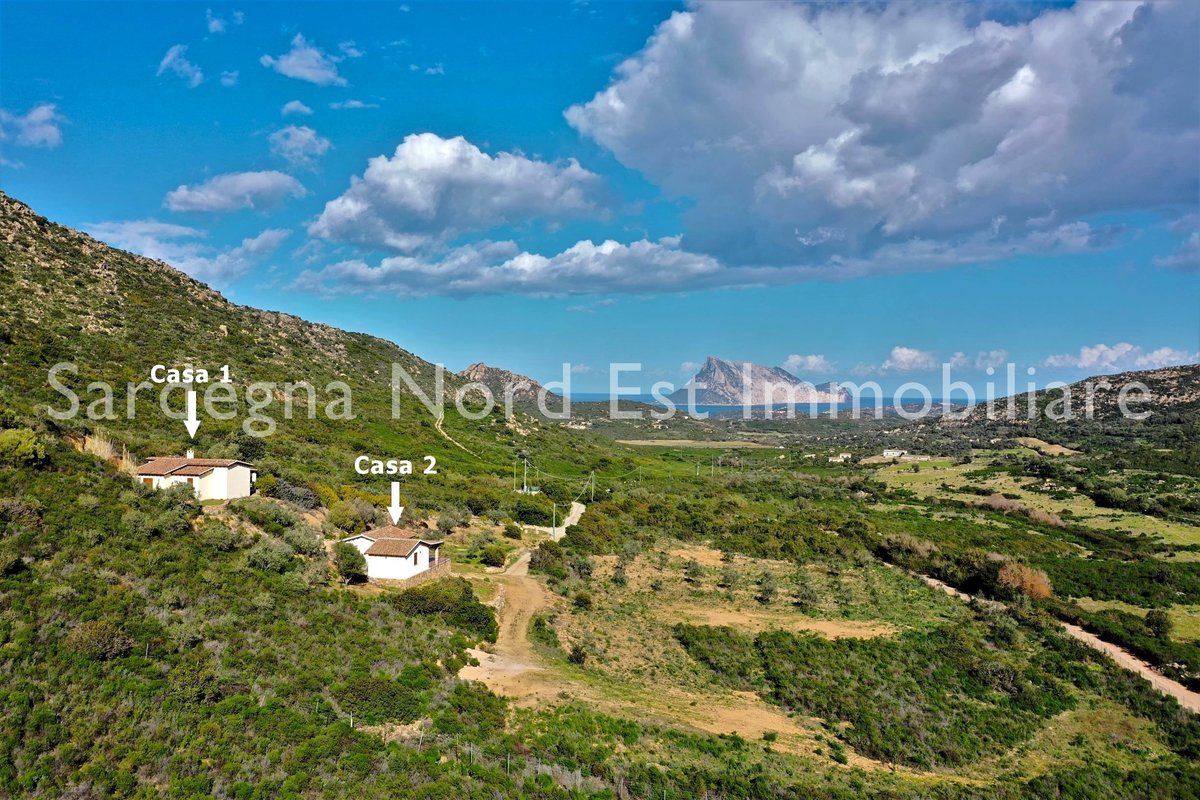 Sehnsuchtsort mit zwei Häusern und Meerblick bei Porto San Paolo – 2,7 ha Olivenhain & Quelle – Preis: 850.000,00 EUR