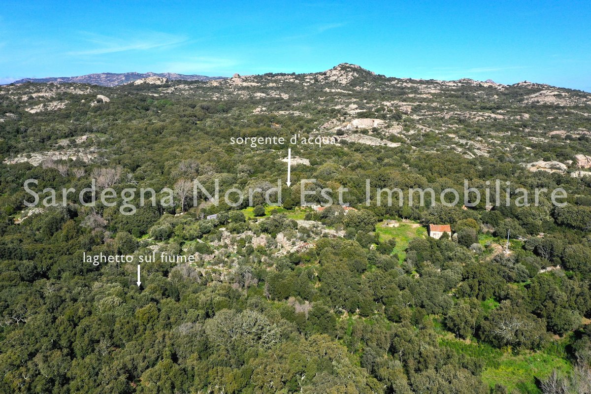 Naturparadies mit Wasserquelle und Ausbaupotenzial – 32 ha Grundstück in Calangianus, Sardinien – Preis: 750.000,00 EUR