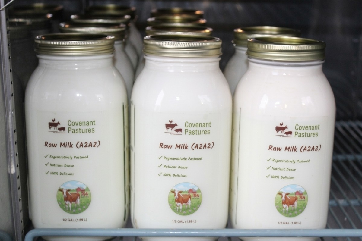 Jars of raw milk in the farm store refrigerator
