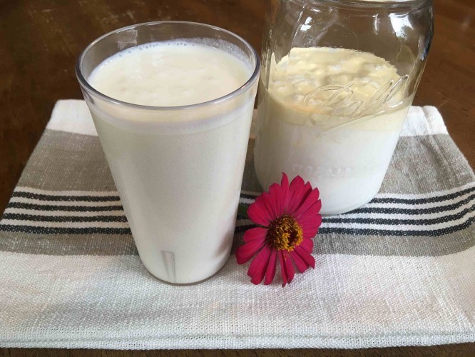 Kefir