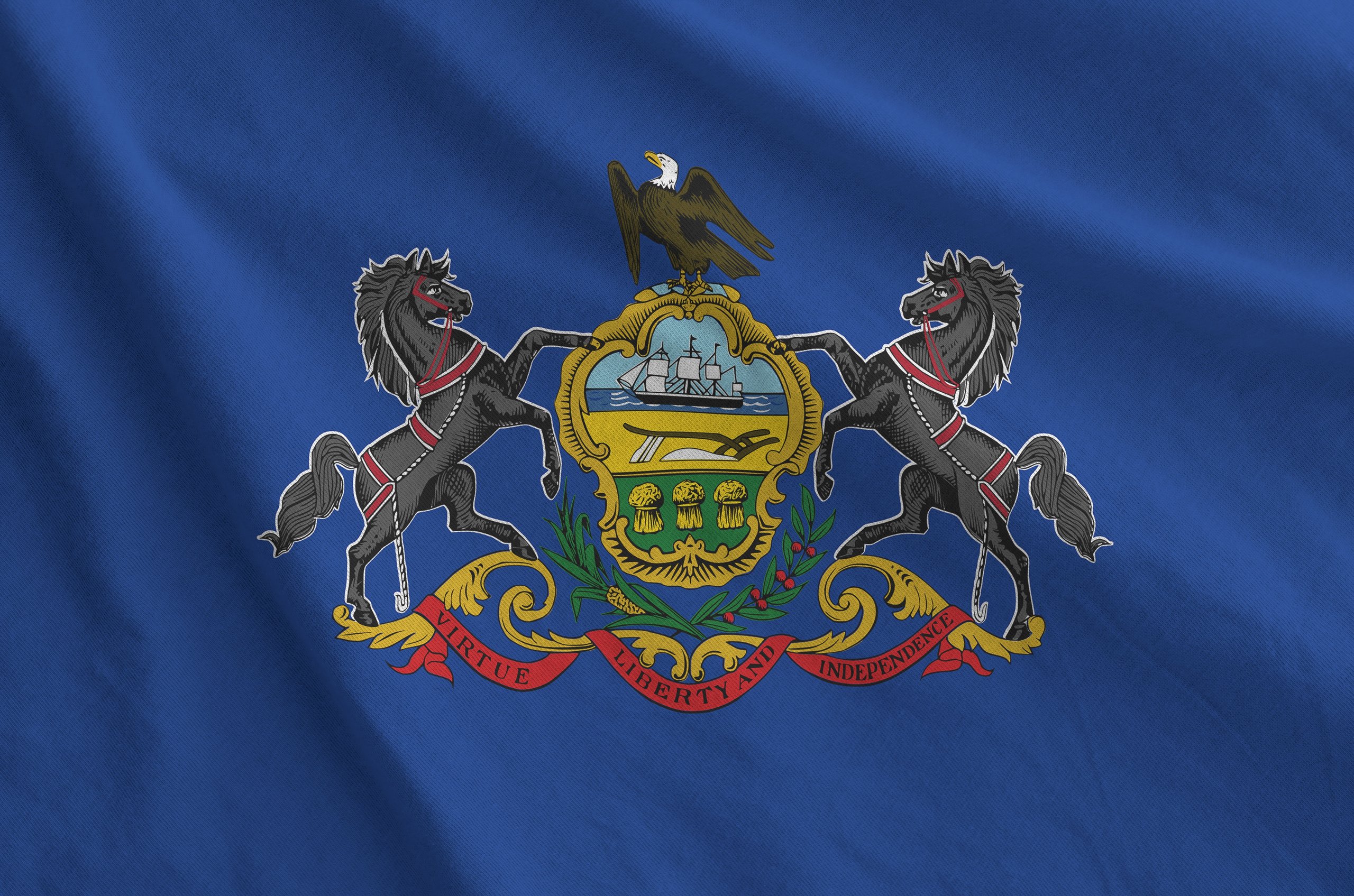 Cropped heraldic eagle illustration with multiple birds and red banners on a textured blue background.