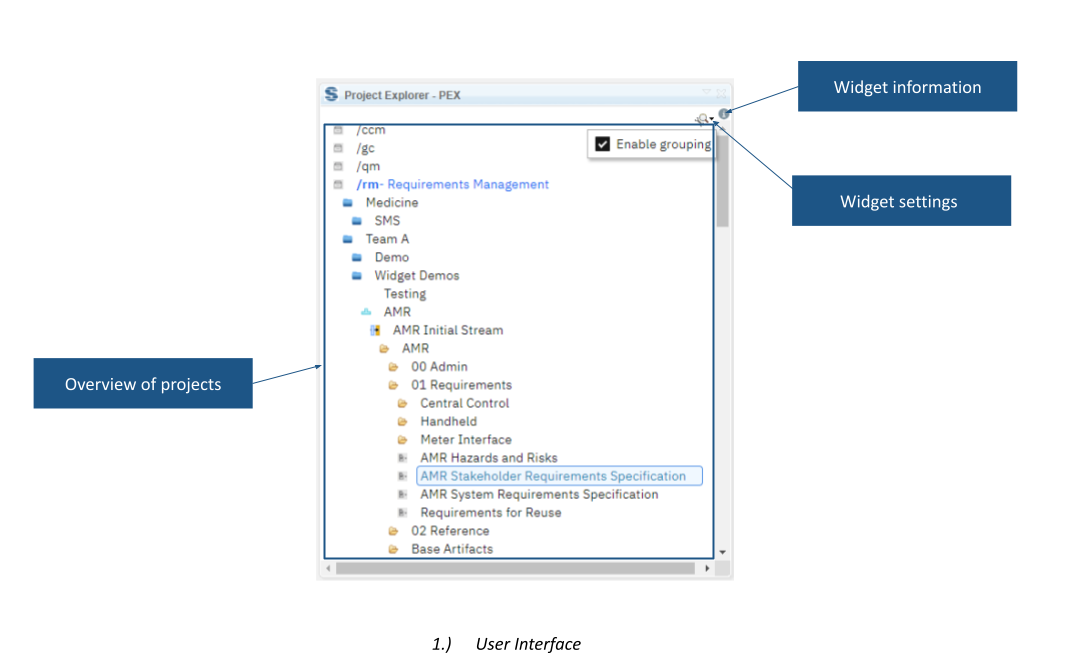 Project Explorer showing a browsable hierarchy of projects and requirements modules.